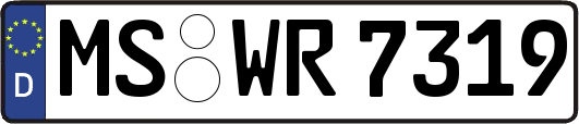 MS-WR7319
