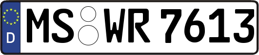 MS-WR7613
