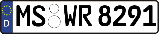 MS-WR8291