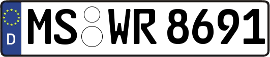 MS-WR8691