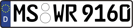 MS-WR9160