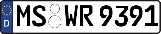 MS-WR9391