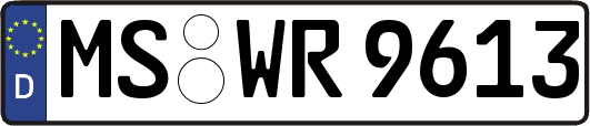 MS-WR9613