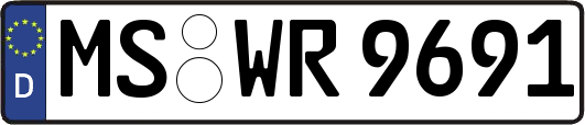 MS-WR9691