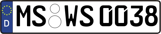 MS-WS0038