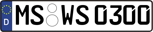 MS-WS0300
