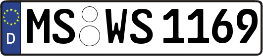 MS-WS1169
