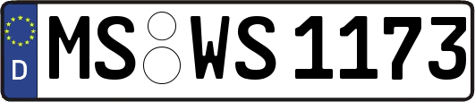 MS-WS1173