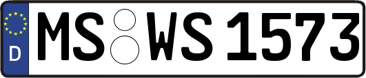 MS-WS1573