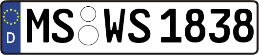 MS-WS1838
