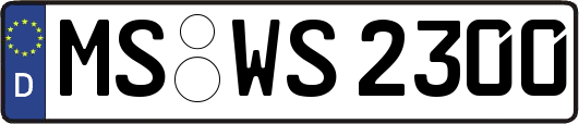 MS-WS2300