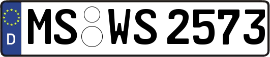 MS-WS2573