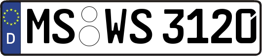 MS-WS3120
