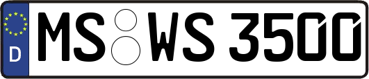 MS-WS3500