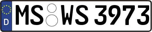 MS-WS3973