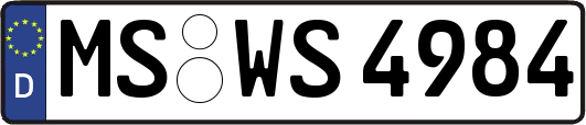 MS-WS4984