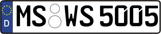 MS-WS5005