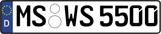 MS-WS5500