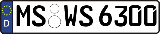 MS-WS6300