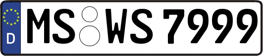 MS-WS7999