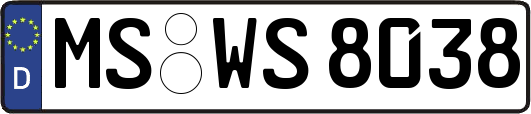 MS-WS8038