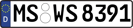 MS-WS8391