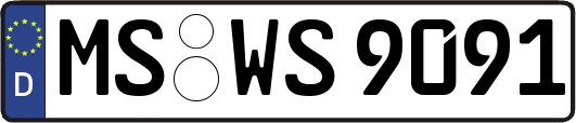 MS-WS9091