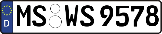 MS-WS9578