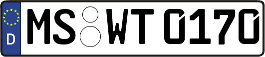 MS-WT0170