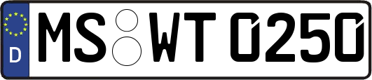MS-WT0250