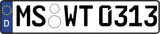 MS-WT0313