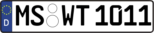 MS-WT1011