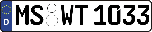 MS-WT1033