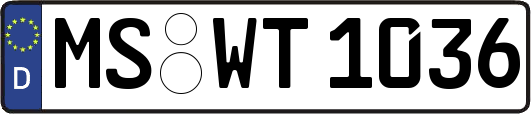 MS-WT1036