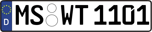MS-WT1101