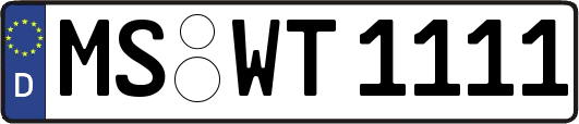 MS-WT1111