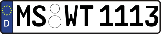MS-WT1113
