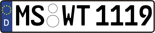 MS-WT1119