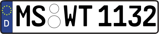 MS-WT1132