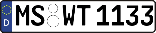 MS-WT1133
