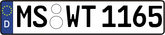 MS-WT1165