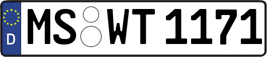 MS-WT1171