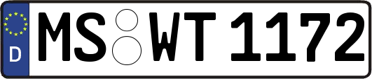 MS-WT1172