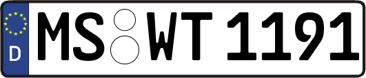 MS-WT1191