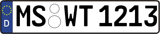MS-WT1213