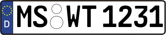 MS-WT1231
