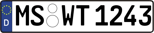MS-WT1243