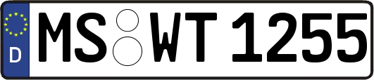 MS-WT1255