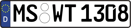 MS-WT1308