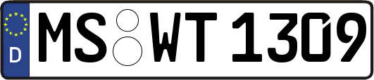 MS-WT1309